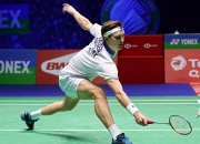 爱游戏在线-丹麦队碾压德国队，安赛龙点燃赛场