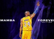 爱游戏官方-绝杀之夜，胡金秋的统治时刻，辽宁队险胜四川队