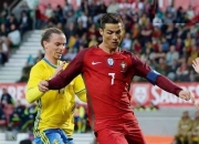 爱游戏网页版-葡萄牙队横扫瑞典队，许昕刷新纪录