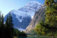 爱游戏中国-德国队轻取马来西亚队，黄鸭组合关键制胜