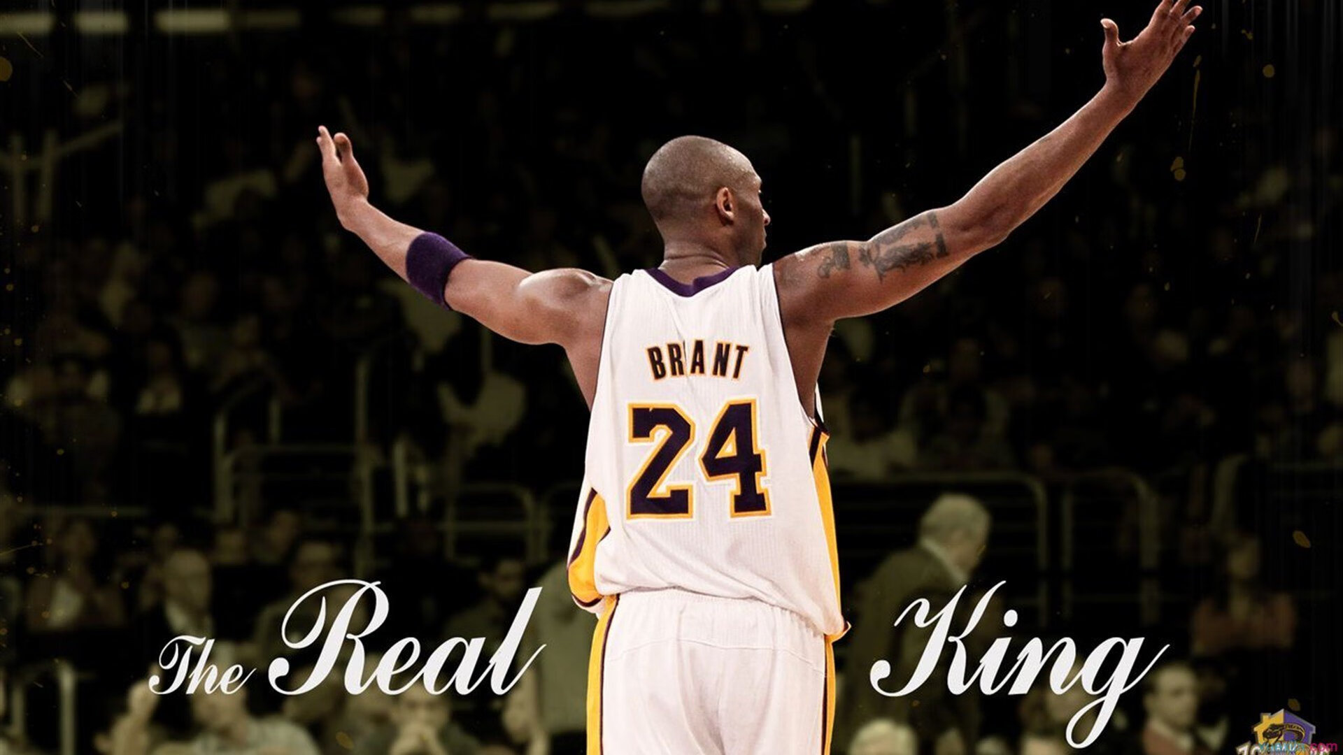 冰与火之歌，西亚卡姆攻防统治，吉林血性鏖战费城